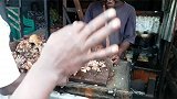 牙口不好，你的人生到底会错过多少乐趣