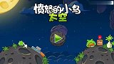 愤怒的小鸟游戏：在太空和猪头展开正义的较量 它们都是被撞死的