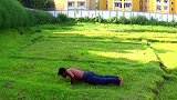 每次看都笑到累，不信你看看