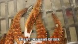 用400兆帕的水刀切海星，切开的海星的瞬间，太不可思议了！