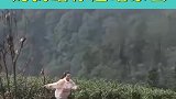 没吃过猪肉，今天见过猪跑了，妈我给你赶咱家去！
