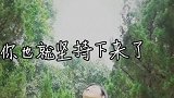 你有没有为某件事情拼过命？