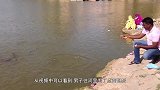 废弃核电站旁边河流里的鲶鱼，没人敢抓，只能任由它越长越大