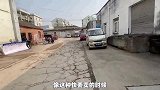 开了八年的思域给七万愣是不卖，日系车保值随便卖