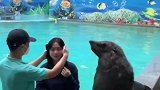 我可是专业海狮，营业结束一秒都不多待