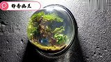 大神设计一个DIY家具挂饰鱼缸，给你一个新的视觉盛宴