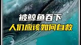 被如果被鲸鱼吞下，人们该如何急救