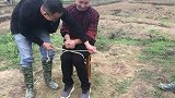 不能解开绳子，如何才能逃脱？特简单，学会后骗朋友玩
