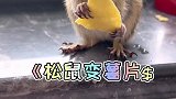再也不用担心薯片吃完了！