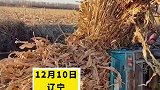 三轮车不慎翻车，司机乘客摔成泥人