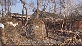湖南老农挖出“红烧肉”，商人30万收走，几天后竟后悔莫及！