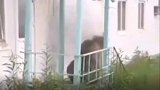 饭太香？俄罗斯一棕熊被灭火器赶出工厂食堂 棕熊：我不要面子？