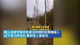 上海崇明一女子因贪嘴每日支巨网抓捕野鸟，已吃掉4只