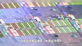 经济日报郭言：美芯片“护栏”严重干扰全球产业链