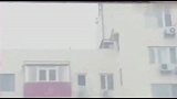 主人叫鹦鹉过来玩，鹦鹉我怕你！不敢过去