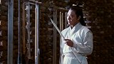 我的剑不仅快，且精准无误！