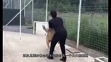 雄狮和主人久别重逢，主人张开双手，狮子的举动暖心了