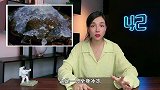 打破死亡封印的动物：六腿鹿，变形龟，Z字脖长颈鹿