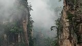 烟雨张家界，就是一副水墨画，宛如仙境，惹人醉！