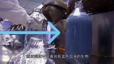 世界上只有这种动物的血液是蓝色，看起来好神奇，还能救人