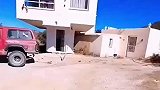 这房子真敢盖，向天再借五百平