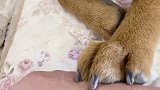 你还不乐意 被扣的是我 真不知道你那眼神啥意思