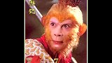 猴哥和八戒的第一次逢面，原来八戒也是一点没变