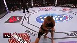 UFC-14年-UFC ON FOX12：女子赛利马vs耶德尔泽西克集锦-精华