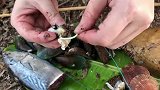 小姐姐钓到怪鱼，一身盔甲，不知道是什么鱼