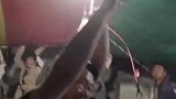 再也不敢唱《大风吹》了，南通大风让婚宴变成抗风救灾现场