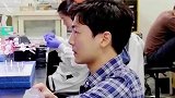 国外发明磁控线型机器人，可游走在大脑血管中清除血栓