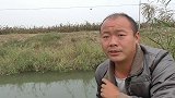 越是这种小水沟鲫鱼越多，不担心小杂鱼闹窝，七星漂一动就是鲫鱼