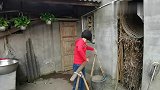 农村王四：大姐挑粪浇菜，勇哥叫做美食，晚上两人小酒喝起
