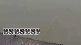 女孩只凭一根绳就钓到鱼，这让拿钓具的叔叔情何以堪