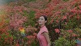 花海是很多女孩的向往，一座座大山都披上了粉红的衣裳！好美