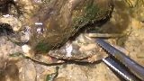 晚上的大海特别多海鲜
