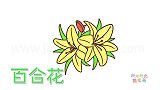 植物简笔画大全，画百合花简笔画