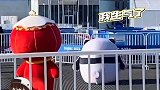 笑死我了！这两个的顶流之争也太可爱了吧～