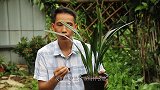 兰花在这种情况下，谁用这2种肥的其中一种，兰花分分钟“死掉”