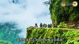 美丽却危险13个的景观，巴西蛇岛5步一只蛇，你敢去看看吗？
