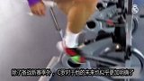 西甲-1718赛季-曝C罗渴望征战欧超杯 仅剩1周时间先自行备战训练-专题