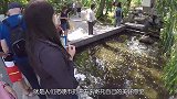 游客投进许愿池的硬币，都上哪去了？看完不扔了！