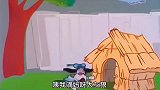 烧饵块三兄弟智斗饿狼，老狗咬狼票豁不撒嘴年度搞笑沙雕派对