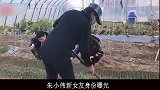 朱小伟和陈亚男能复合吗