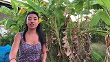柬埔寨旅游不小心拍下美女
