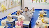 我有预感！未来一周一定会好运连连，事业旺旺旺