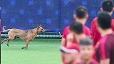 国足-17年-集结第五天好消息陆续传来 突袭狗抢戏气氛轻松-新闻