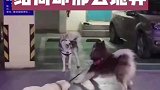 看得出来牵绳子的很卖力，结局太搞笑了