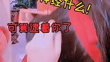 人生建议：时刻记得关房门
