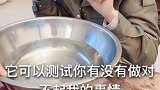 这又是谁教的这日子越来越难过了！